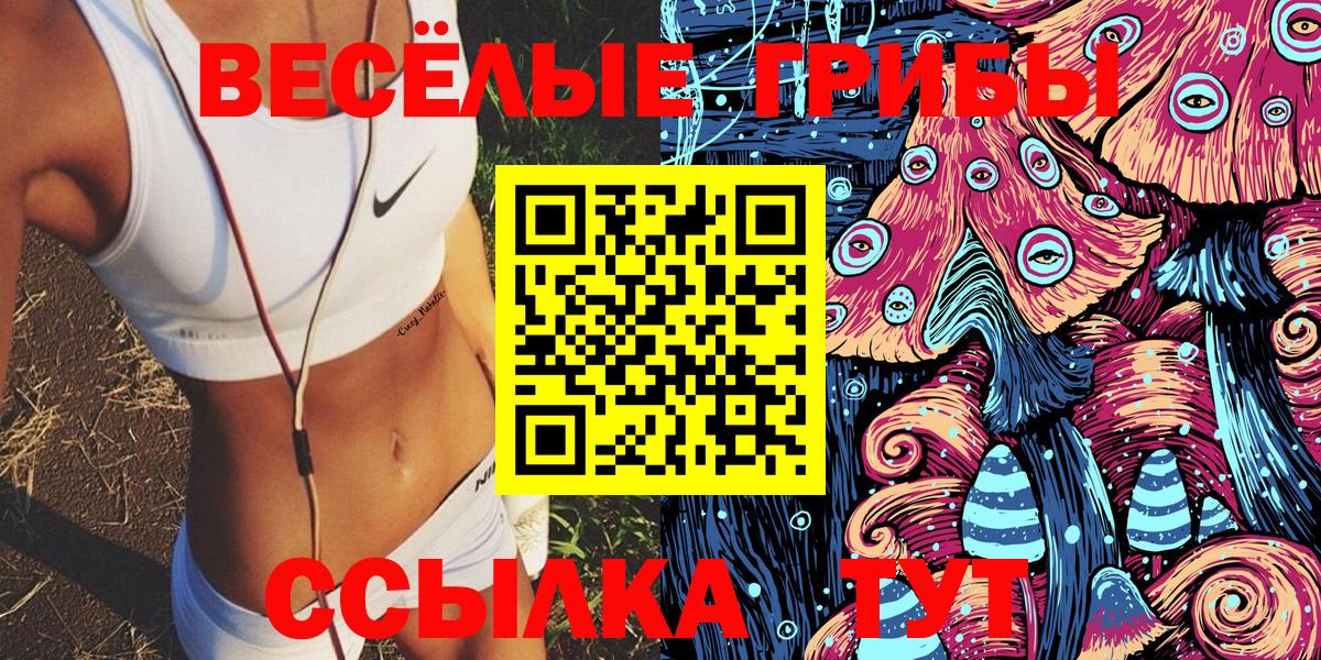 даркнет сайт  Псилоцибиновые грибы Magic Shrooms  Семёнов  Вход с VPN  Псилоцибиновые грибы Cubensis 