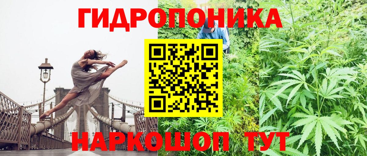 Каннабис OG Kush  Вход с VPN  МАРИХУАНА тримм  Семёнов 